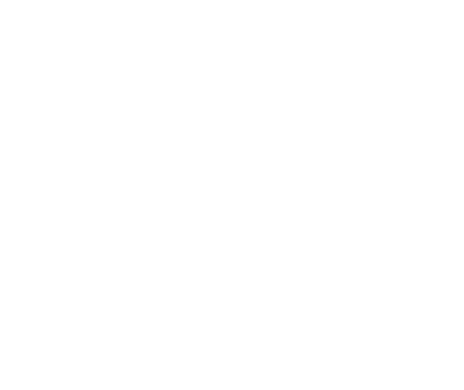 Introspect Theatre Company Inc.